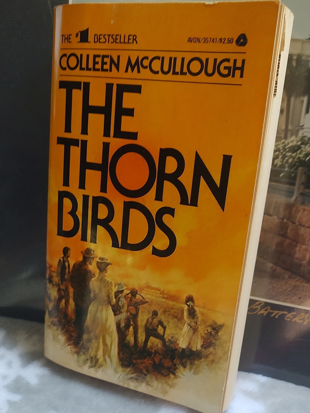 The Thorn Birds/📚